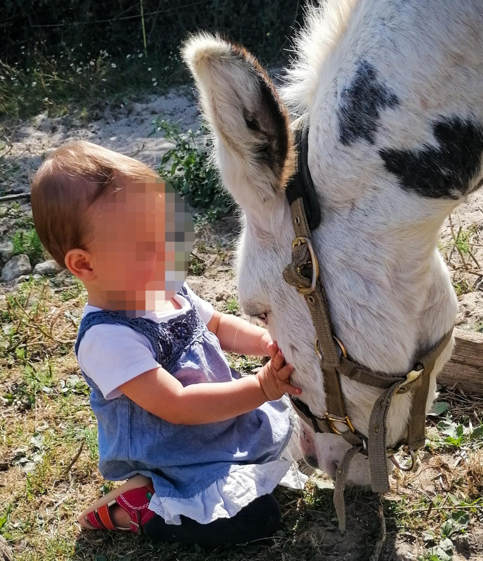 Img 20211007 120044
